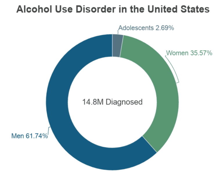 A pie chart representing the percentage of alcohol use disorders in the United States among men, women, and adolescents—What percentage of alcoholics are high-functioning?